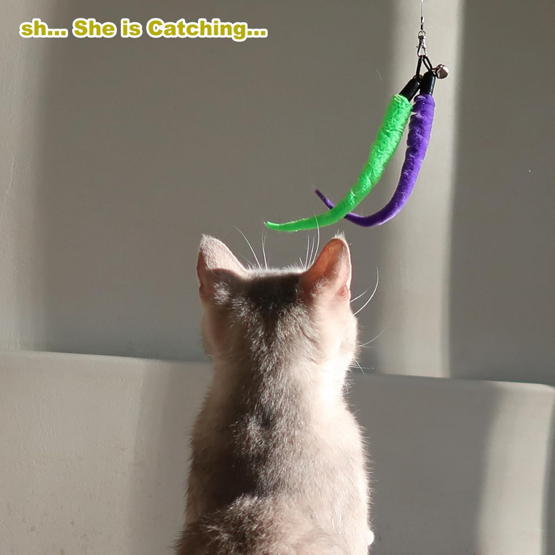 Cat playing with the feather wand