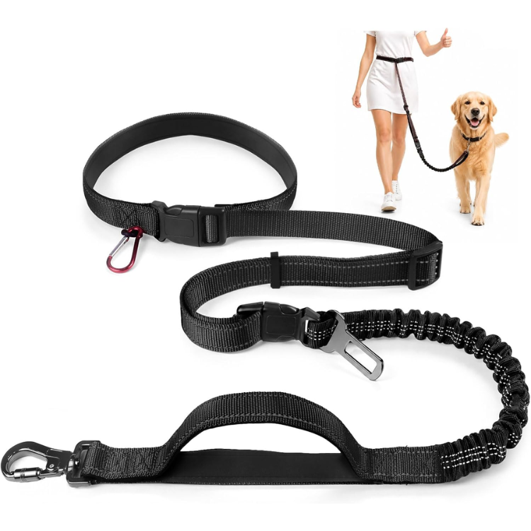 4-in-1 hands-free dog leash