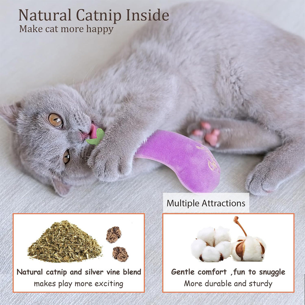 Veggie Catnip Plush Toys – 5 Pack