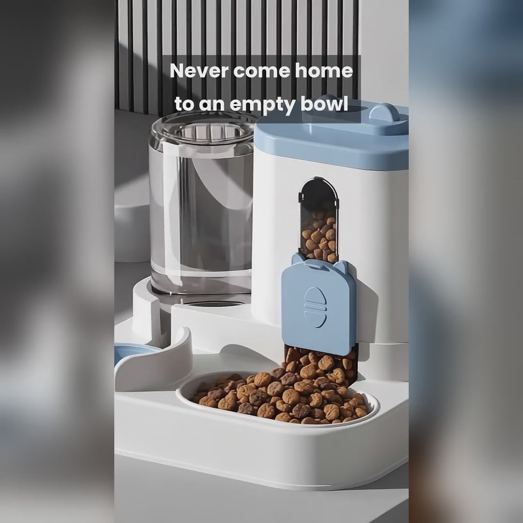 2-in-1 gravity pet feeder and water dispenser with orange cat eating
