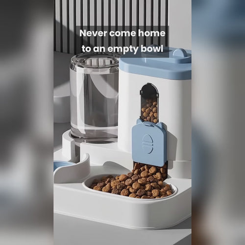 2-in-1 gravity pet feeder and water dispenser with orange cat eating